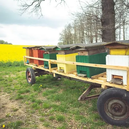 Gospodarstwo agroturystyczne U świątków *