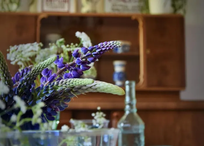 U Swiatkow 农家乐 *