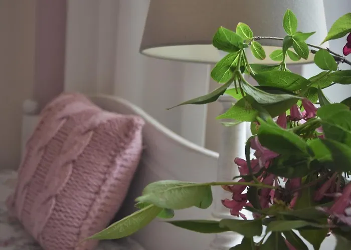 U Swiatkow Stara Kamienica