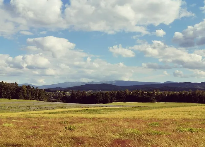 U Swiatkow 农家乐